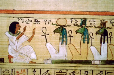 Egyptiläinen kuolleiden kirja, kuollut polvistumassa alamaailman jumalien edessä