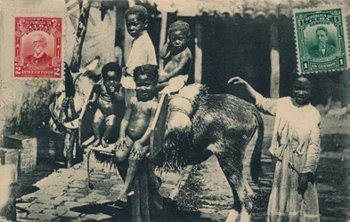 LA renessanssi. Pena ja Ca. - Lohikäärmeet ja Zulueta - Havanna, 1913