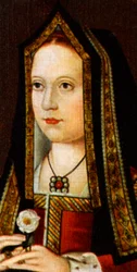 Elizabeth Yorkista