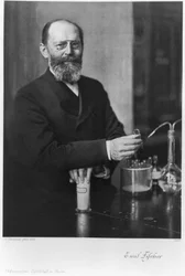 Emil Fischer, saksalainen orgaaninen kemisti, 1904