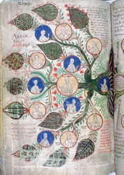 Sukupuu, sivu Liber Floriduksesta, 1100-luku