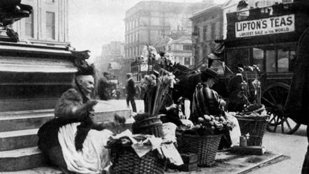 Kukkamyyjiä Piccadilly Circusissa Lontoossa, 1901 1951