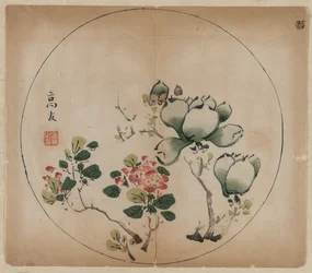 Kukkivat magnoliat ja persikankukat, 1368-1644.