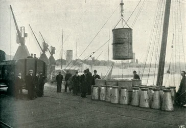 Ranskalainen maito puretaan Southamptoniin, 1902.