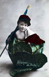 Ranskan ensimmäisen maailmansodan postikortti, 1914-1918