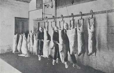 Pakastettu liha, 1923.