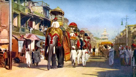 Gaekwarsin osavaltion norsut, Manipuri-basaari, Bombay, Intia, vuodelta 1924
