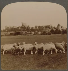 General View Windsorin linna, Englanti, 1896.