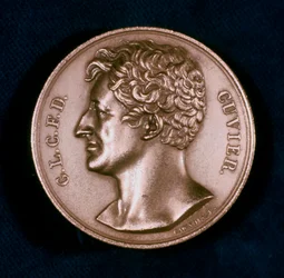 Georges Leopold Chretien Frederic Dagobert, paroni Cuvier, ranskalainen anatomi, 1800-luku
