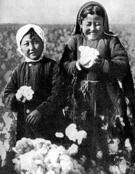 Tytöt puuvillapellolla, Kazakstan, 1936