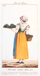 Vihreiden papujen myyjä, 1826