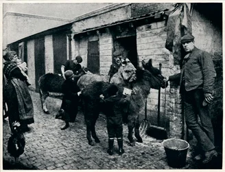Aasien hoito, Lontoo, c1903 1903