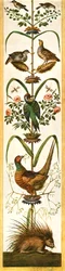Groteskeja maalauksia Vatikaanin loggioista, Rooma, Italia, 1928.