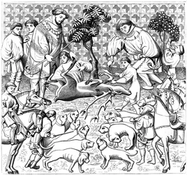 Kuinka nylkeä polttarit, 1400-luku, 1849