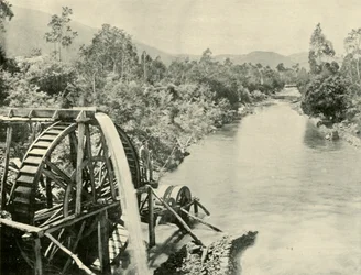 In the Ovens River, Germantown, 1901.