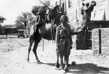 Intian kamellisoturi, Bagdad, 1918
