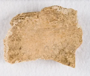 Kaiverrettu luufragmentti oraakkeliluu, myöhäinen Shang-dynastia, n. 1300-1050 eaa.