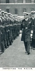 RNVR:n tarkastus, 1936 1937