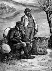 Irlantilaiset maanviljelijät kuljettavat kotiin siemenperunoitaan, 1888