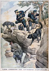 Japanilaiset sotilaat koirien kanssa löytävät piilossa olevan venäläisen, Venäjän ja Japanin sota, 1904