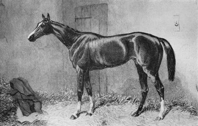 Kettledrum, 1860-luku, 1911