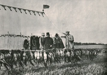 Kuningas Edward VII tarkastamassa laukkua Sherborne Estatessa, 1902, 1910.