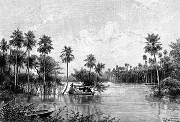 Las Palmes Lagunas, lähellä Pilcomayon suuta, 1895