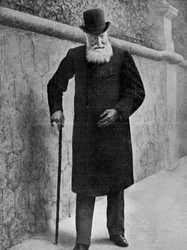 Leopold II, belgialaisten kuningas, 1909