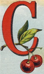 C-kirjain: kirsikat. Kaiverrus "Alphabet de ma petite fille". Bernardin-Bechet ja Fils, kirjakauppias-kustantajat, Pariisi, noin 1895. Rikkoutumaton albumi kankaalle. Bibliotheque des Bebes. 12 sivua. Albumi, joka sisältää lukumenetelmän ja havainnollisen 