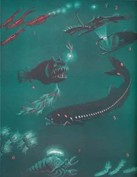 Elämä puoli mailia merenpinnan alapuolella, 1935