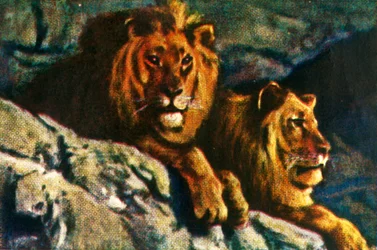 Lionit, 1928.