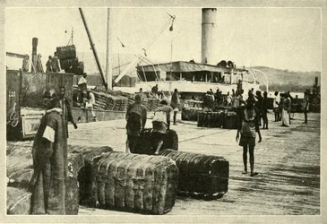 Puuvillalastin lastaus, vuodelta 1948.