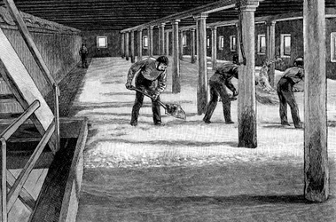 Mallaslattia amerikkalaisessa panimossa, 1885