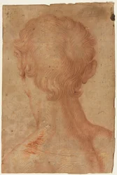 Miehen pää takaa, 1500-luku.