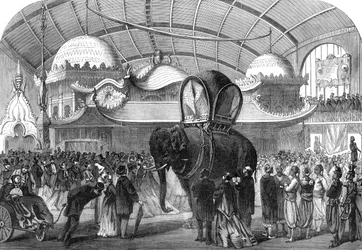 Malli norsusta konegallerian siamilaisessa osastossa, 1867