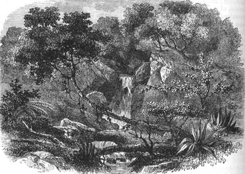 Uuden-Seelannin maisema, 1880