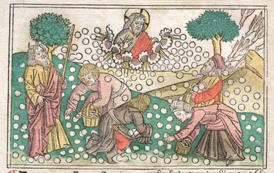 Nürnbergin Raamattu: Manna putoaa taivaasta, 1400-luku.