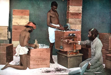 Teen pakkaaminen ja punnitseminen vientiä varten Ceylonin Sri Lankan tilalla, 1905