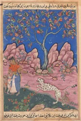 Sivu julkaisusta Tales of a papukaija Tuti-nama: Kolmaskymmenes yö: Nainen keskustelee..., n. 1560.