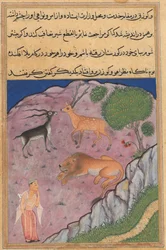 Sivu julkaisusta Tales of a papukaija Tuti-nama: Kaksikymmentäensimmäinen yö: Brahman..., n. 1560.