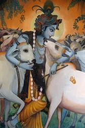 Maalaus hindujumala Krishnasta halaamassa lehmiä. Intia