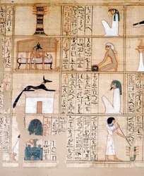 Papyrus, palsamointi, Anubis, muinainen egyptiläinen, 1000-luku eKr