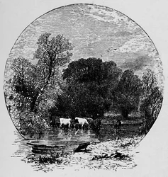 Rauhaa ja runsautta, 1883