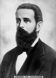 Pedro de Cespedes, 1910