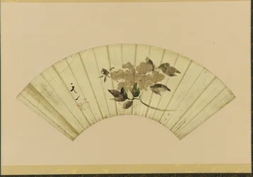 Pioni, 1800-luvun alku.
