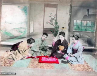Pelikortit, Kobe, Japani