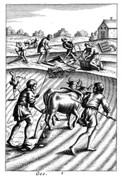 Kyntö härillä, kylvösiemenlähetys ja äestys, 1700-luku