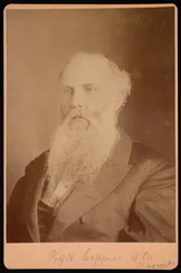 Henry Coppeen muotokuva 1821-1895, 1875.
