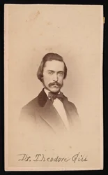 Theodore Nicholas Gillin muotokuva 1837-1914, noin 1860-luku.
