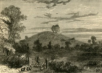 Primrose Hill vuonna 1780, n. 1876.